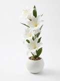 Artificial Plant