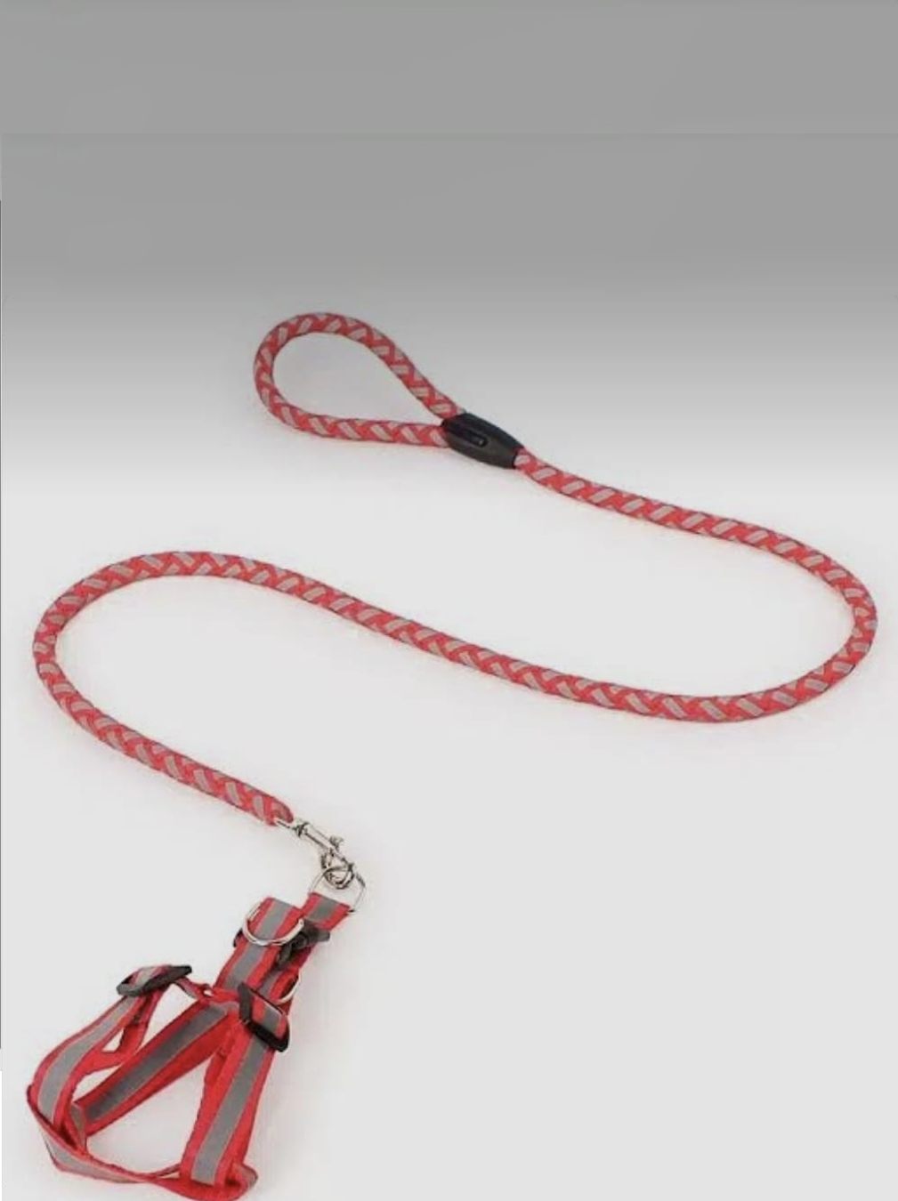 Hondenriem, nylon riem 2