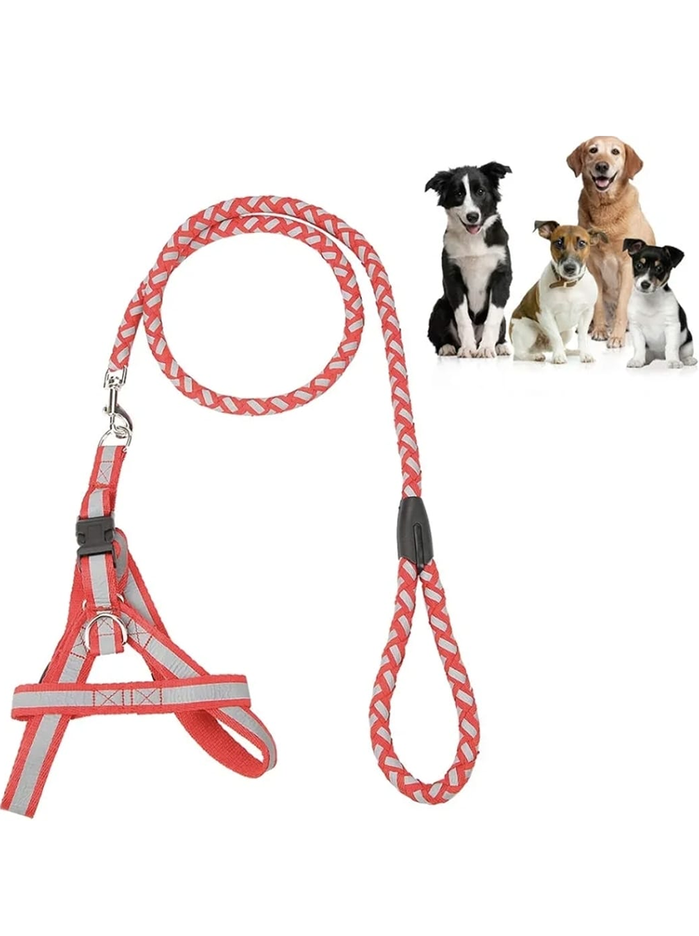 Hondenriem, nylon riem
